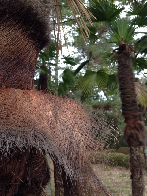 f:id:kokisin:20150124001453j:plain f:id:kokisin:20150124001453j:plain