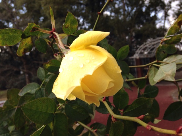f:id:kokisin:20150129012542j:plain f:id:kokisin:20150129012542j:plain