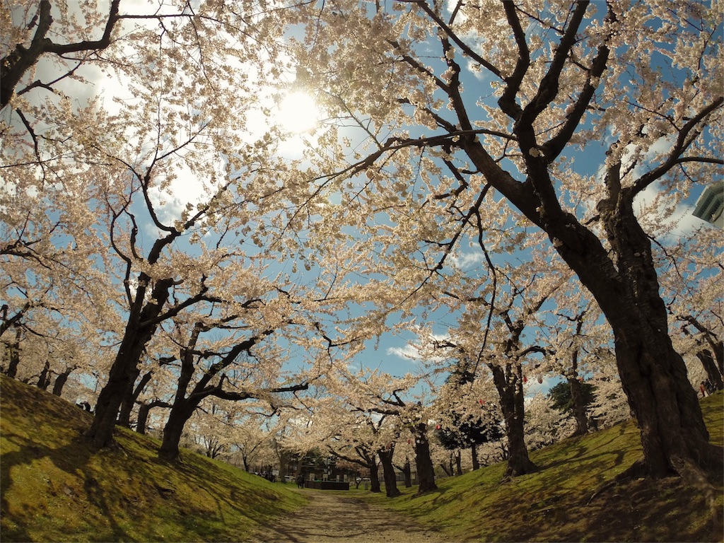 f:id:kokorozashimizu:20160501092028j:image f:id:kokorozashimizu:20160501092028j:image