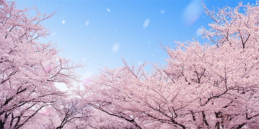 f:id:kokuaayumi1974:20160401102813j:image f:id:kokuaayumi1974:20160401102813j:image