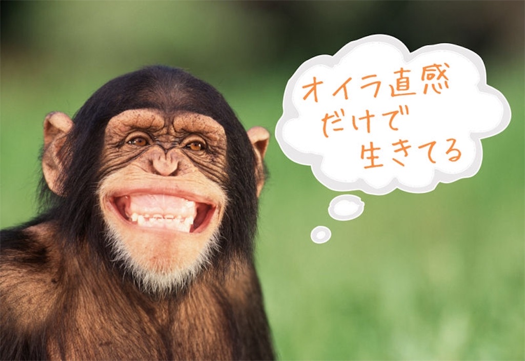 f:id:kokuaayumi1974:20160513120436j:image f:id:kokuaayumi1974:20160513120436j:image
