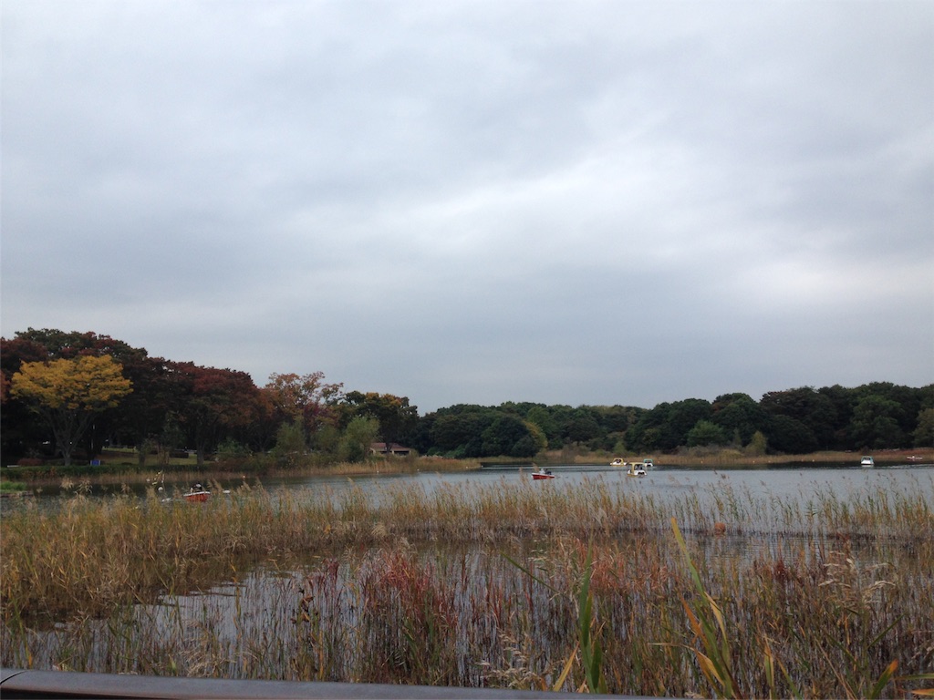 f:id:kokuronyan:20151101021538j:image f:id:kokuronyan:20151101021538j:image