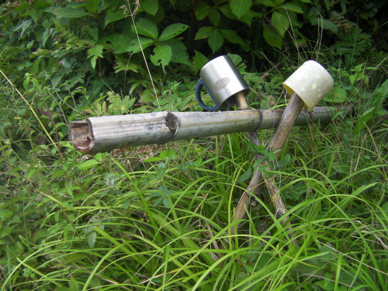 f:id:kokyugama:20100907105140j:image f:id:kokyugama:20100907105140j:image