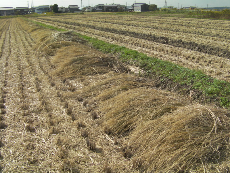 f:id:kokyugama:20121101105809j:image:w360 f:id:kokyugama:20121101105809j:image:w360