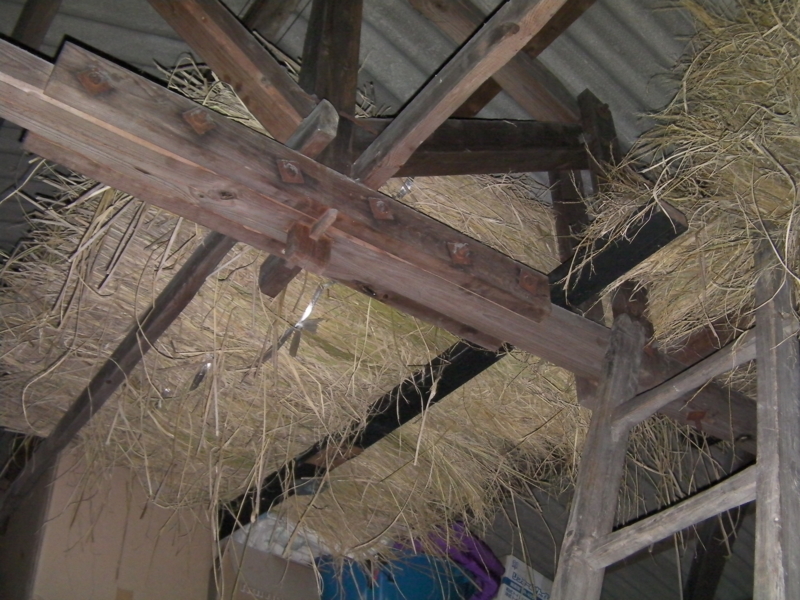 f:id:kokyugama:20121101151214j:image:w360 f:id:kokyugama:20121101151214j:image:w360