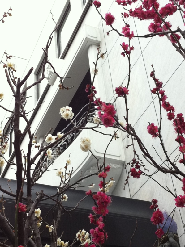 f:id:komarius:20120216113025j:image:w200 f:id:komarius:20120216113025j:image:w200