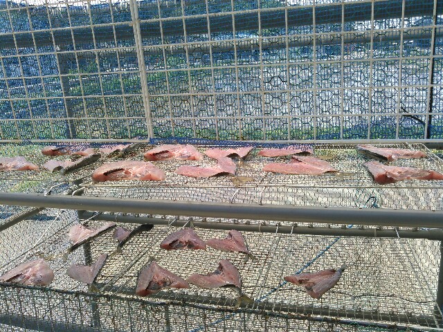 f:id:komaru694:20160517120507j:image f:id:komaru694:20160517120507j:image