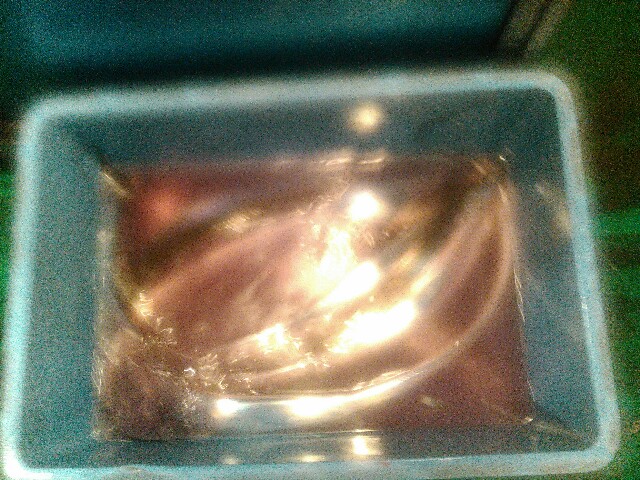 f:id:komaru694:20160701164202j:image f:id:komaru694:20160701164202j:image