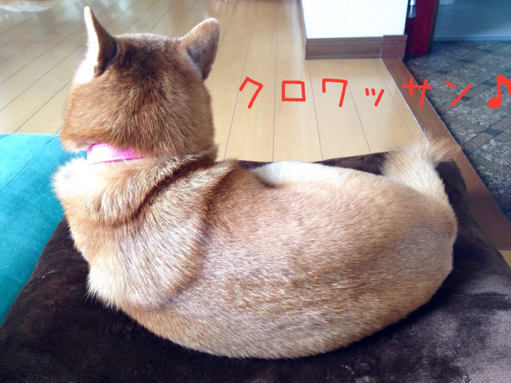 f:id:komgon:20160612152050j:plain f:id:komgon:20160612152050j:plain