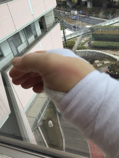 f:id:komochishisyamo:20150228212432j:plain f:id:komochishisyamo:20150228212432j:plain