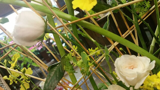 f:id:komorebi8787:20160611011605j:image f:id:komorebi8787:20160611011605j:image