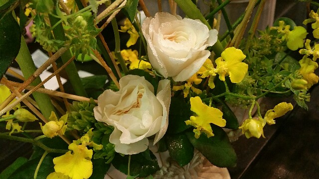 f:id:komorebi8787:20160611011838j:image f:id:komorebi8787:20160611011838j:image