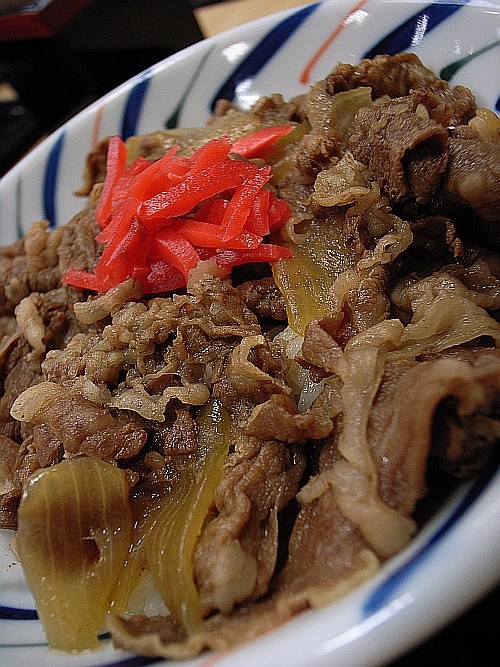 f:id:kon-kon:20090625135223j:image f:id:kon-kon:20090625135223j:image