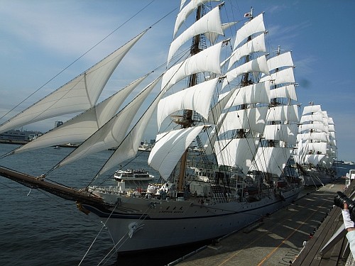 f:id:kon-kon:20090720145129j:image f:id:kon-kon:20090720145129j:image