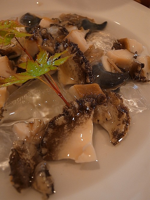 f:id:kon-kon:20110512211335j:image f:id:kon-kon:20110512211335j:image