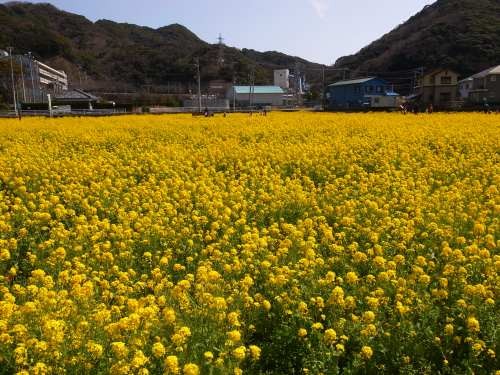 f:id:kon-kon:20120320111203j:image f:id:kon-kon:20120320111203j:image