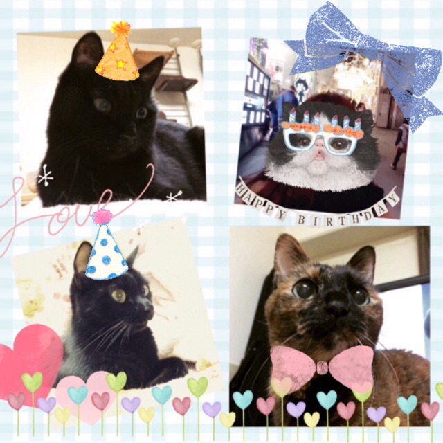 f:id:kon16neko:20150106200623j:plain f:id:kon16neko:20150106200623j:plain