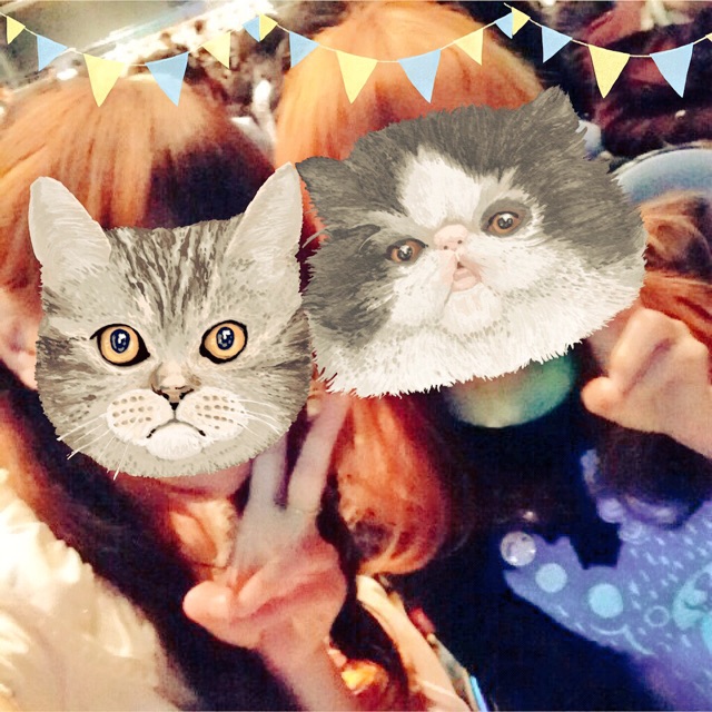 f:id:kon16neko:20150412183721j:plain f:id:kon16neko:20150412183721j:plain
