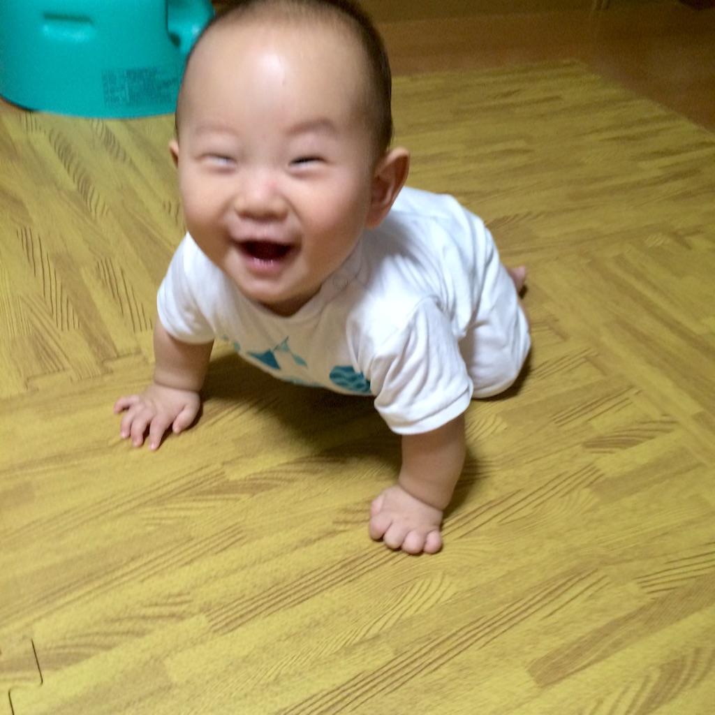 f:id:konagona1050:20150818010839j:image f:id:konagona1050:20150818010839j:image