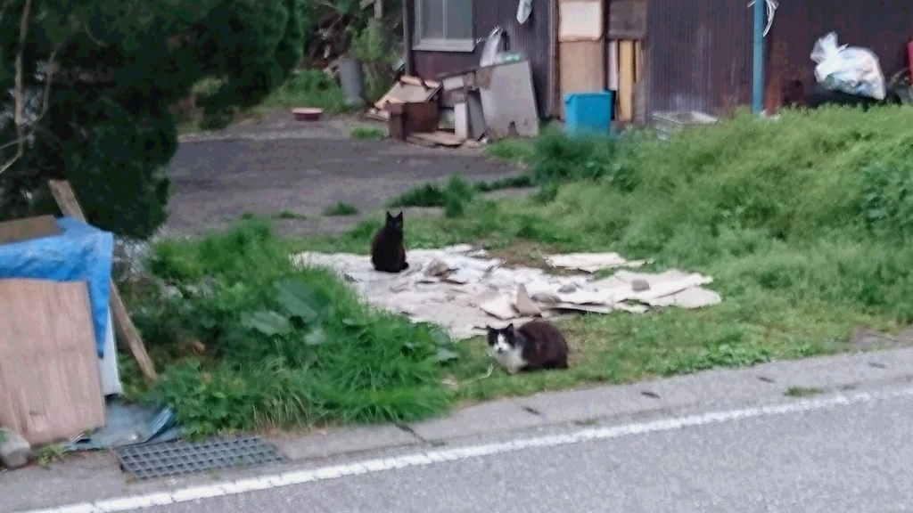 f:id:konakona51:20160517181423j:plain f:id:konakona51:20160517181423j:plain