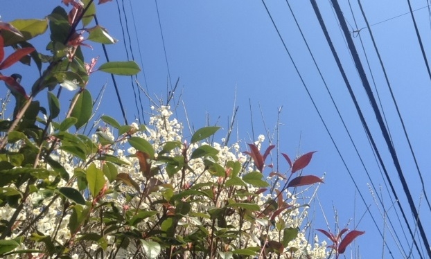 f:id:konatsu_j:20130306155327j:plain f:id:konatsu_j:20130306155327j:plain