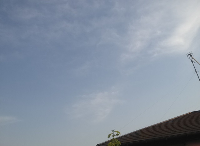 f:id:konatsu_j:20130515094903j:plain f:id:konatsu_j:20130515094903j:plain