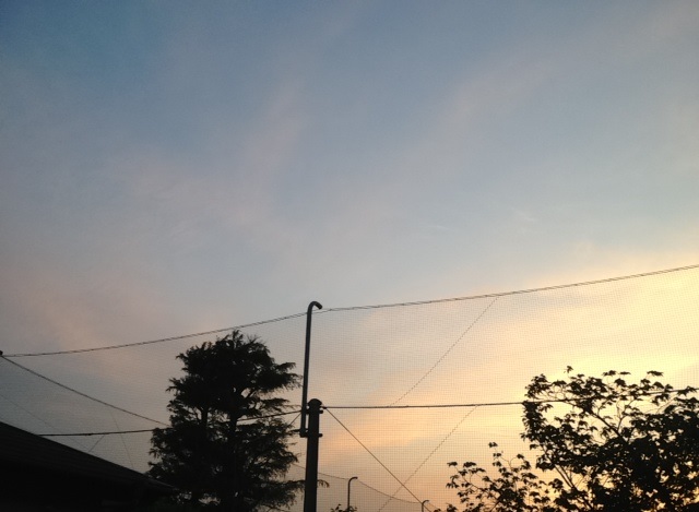 f:id:konatsu_j:20130516142004j:plain f:id:konatsu_j:20130516142004j:plain
