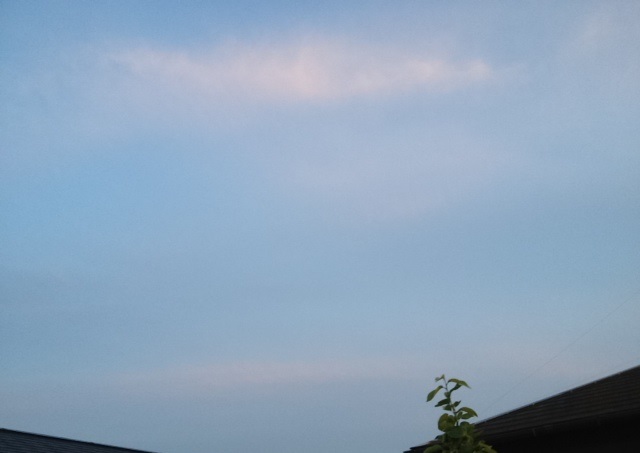 f:id:konatsu_j:20130516142120j:plain f:id:konatsu_j:20130516142120j:plain