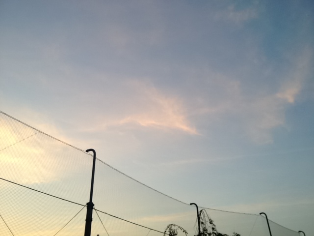 f:id:konatsu_j:20130516142220j:plain f:id:konatsu_j:20130516142220j:plain