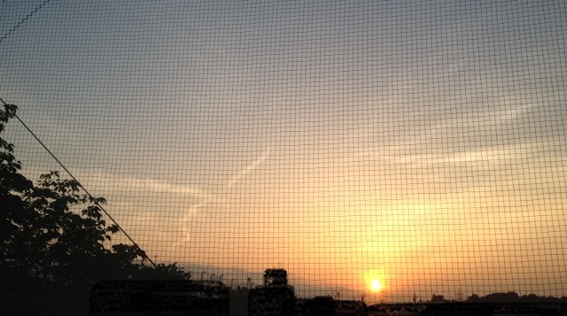 f:id:konatsu_j:20130518035848j:plain f:id:konatsu_j:20130518035848j:plain