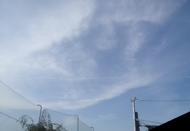 f:id:konatsu_j:20130519020529j:plain f:id:konatsu_j:20130519020529j:plain