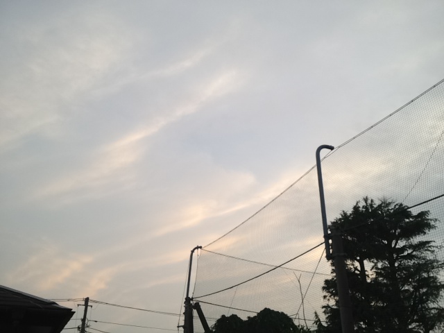f:id:konatsu_j:20130522025557j:plain f:id:konatsu_j:20130522025557j:plain
