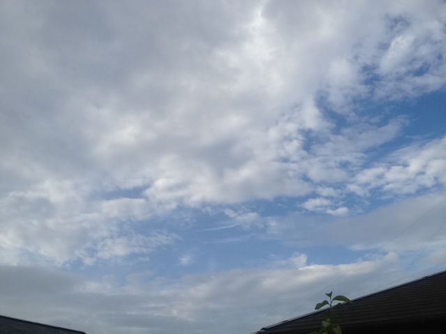 f:id:konatsu_j:20130530022600j:plain f:id:konatsu_j:20130530022600j:plain