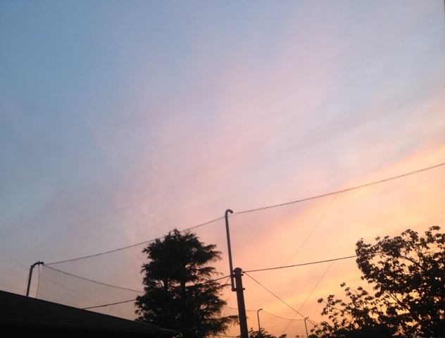 f:id:konatsu_j:20130602013652j:plain f:id:konatsu_j:20130602013652j:plain