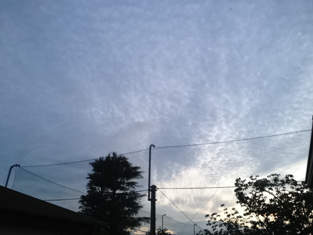 f:id:konatsu_j:20130628025736j:plain f:id:konatsu_j:20130628025736j:plain