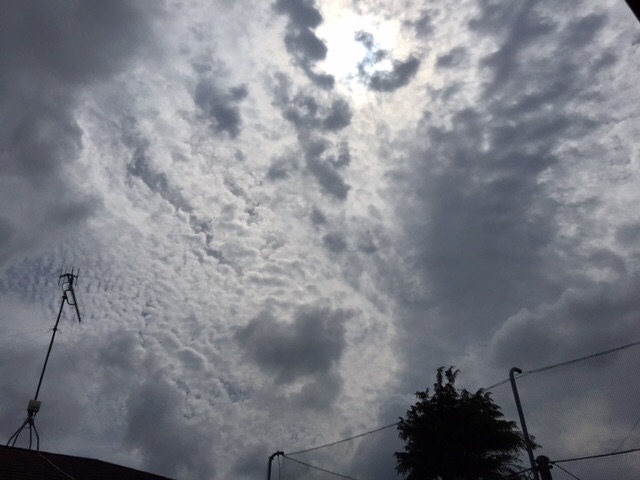 f:id:konatsu_j:20150518141323j:image f:id:konatsu_j:20150518141323j:image