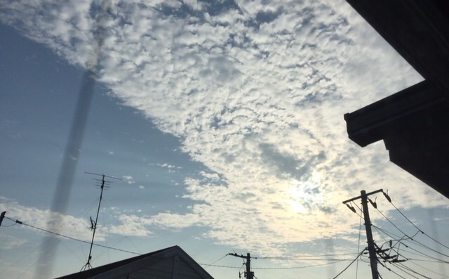 f:id:konatsu_j:20150624105059j:image f:id:konatsu_j:20150624105059j:image