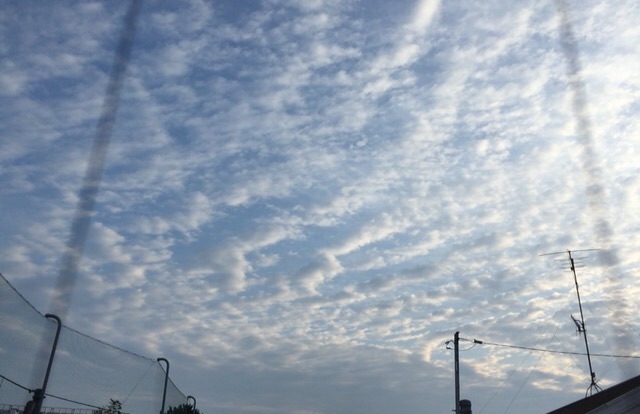 f:id:konatsu_j:20150624105203j:image f:id:konatsu_j:20150624105203j:image