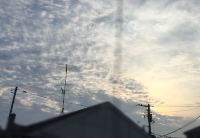 f:id:konatsu_j:20150624105210j:image f:id:konatsu_j:20150624105210j:image