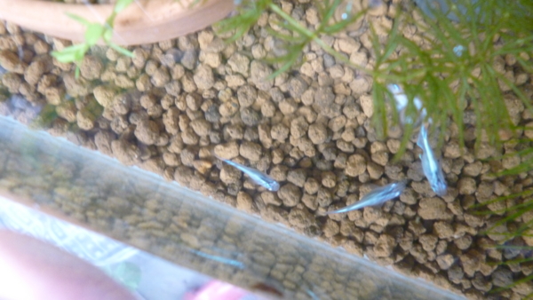 f:id:konoha09:20120812111702j:image f:id:konoha09:20120812111702j:image