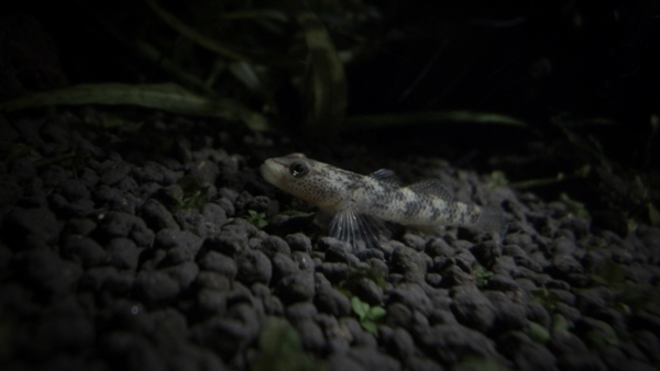 f:id:konoha09:20120912213628j:image f:id:konoha09:20120912213628j:image