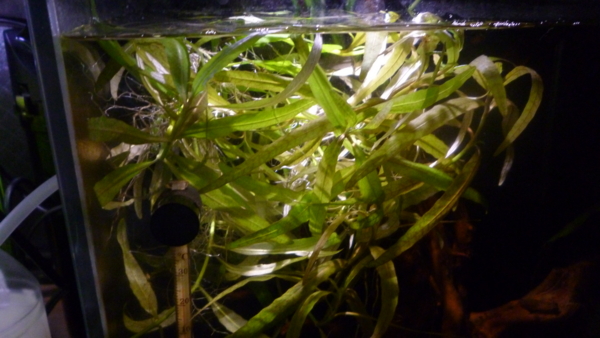 f:id:konoha09:20121003173200j:image f:id:konoha09:20121003173200j:image