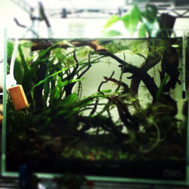 f:id:konoha09:20130223221057j:plain f:id:konoha09:20130223221057j:plain