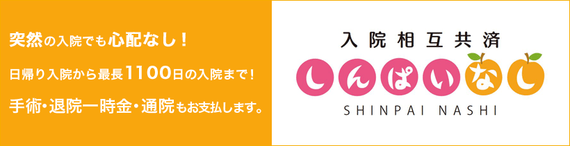 f:id:korekara-no-hoken:20150903095839g:plain