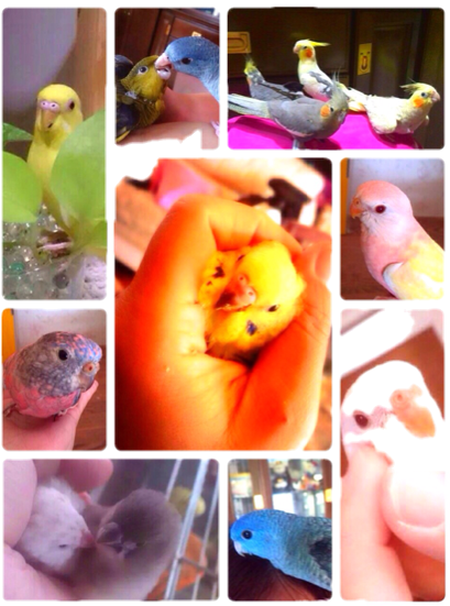 f:id:koretto-19970718:20150323180050j:plain f:id:koretto-19970718:20150323180050j:plain
