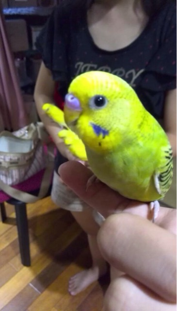 f:id:koretto-19970718:20150323184653j:plain f:id:koretto-19970718:20150323184653j:plain