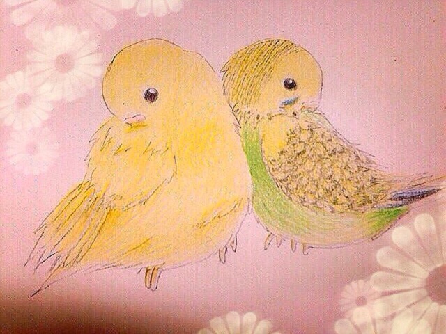 f:id:koretto-19970718:20150323204109j:plain f:id:koretto-19970718:20150323204109j:plain