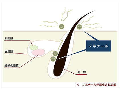 f:id:koriyo2618:20150301162914j:plain