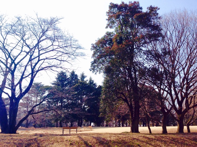 f:id:koro6163:20150216081846j:plain f:id:koro6163:20150216081846j:plain