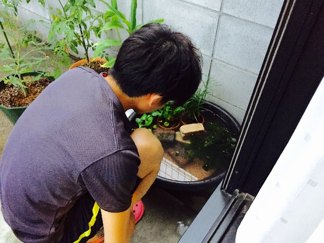 f:id:koro6163:20150614202310j:image f:id:koro6163:20150614202310j:image